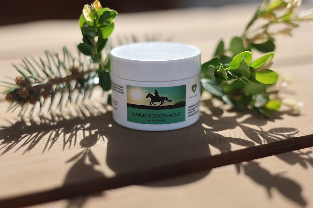 Horse & Rider Salve