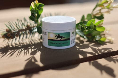 Horse & Rider Salve