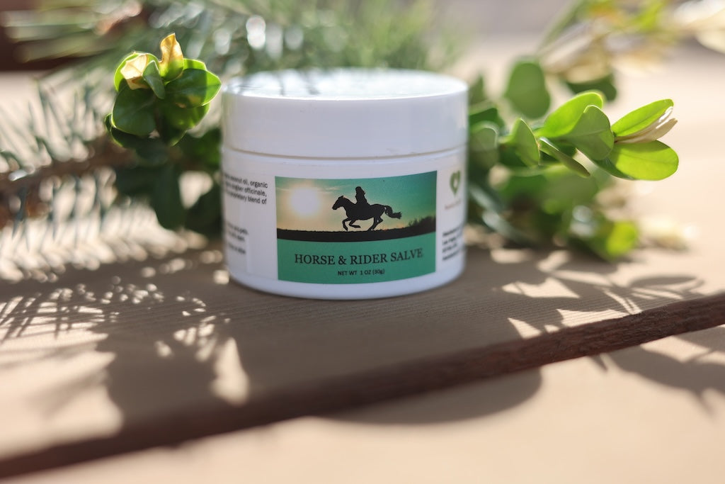 Horse & Rider Salve