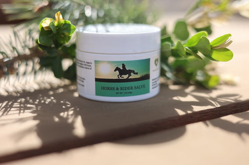 Horse & Rider Salve