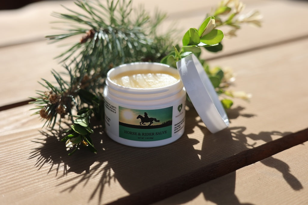 Horse & Rider Salve