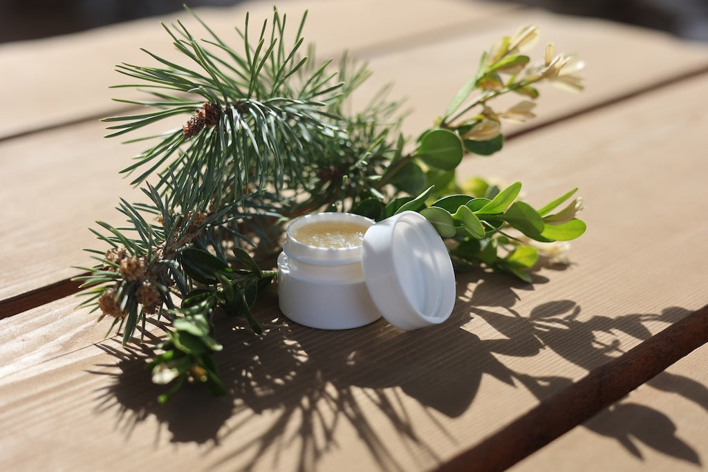 Horse & Rider Salve