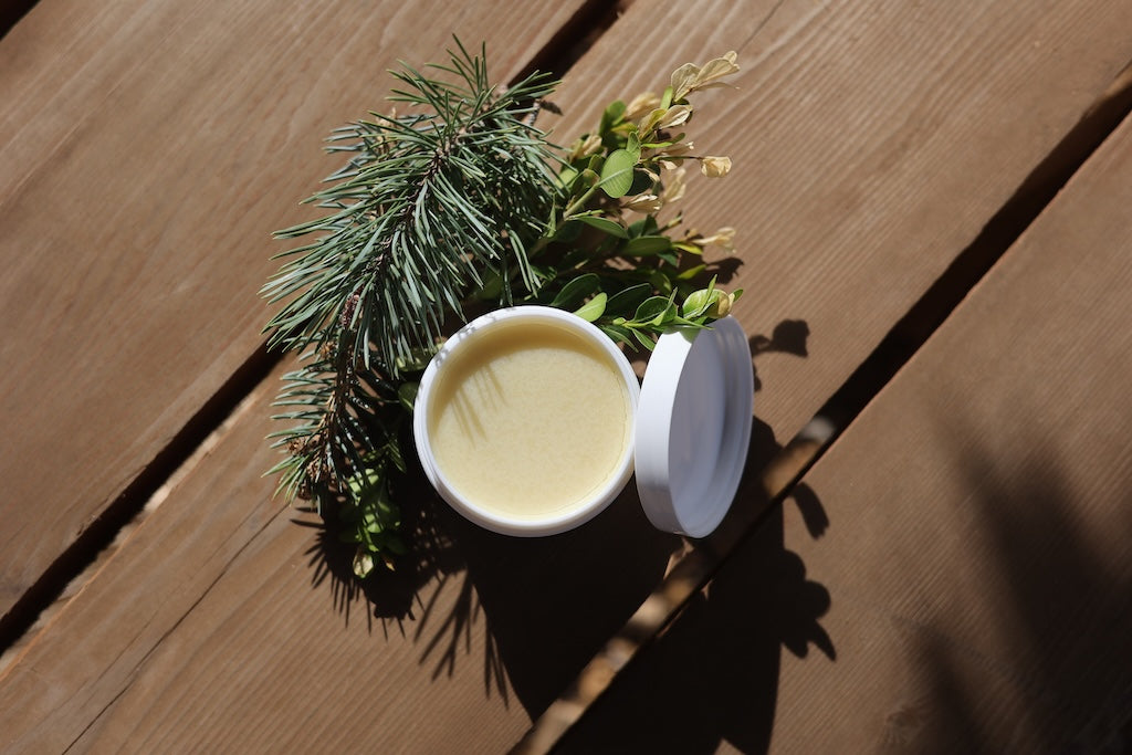 Horse & Rider Salve